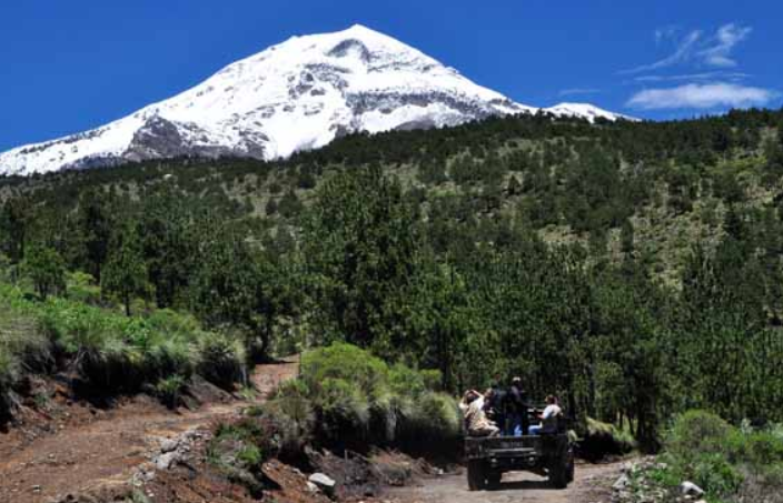 Pico De Orizaba Enfrenta Inseguridad Y Tala Formato Siete