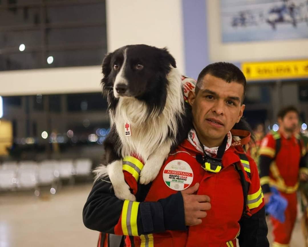 Llegan Binomios Caninos Mexicanos A Turqu A Formato Siete