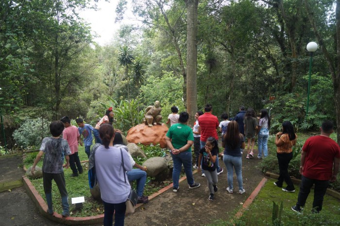 IVEC invita a disfrutar de las exposiciones en el jardín de las