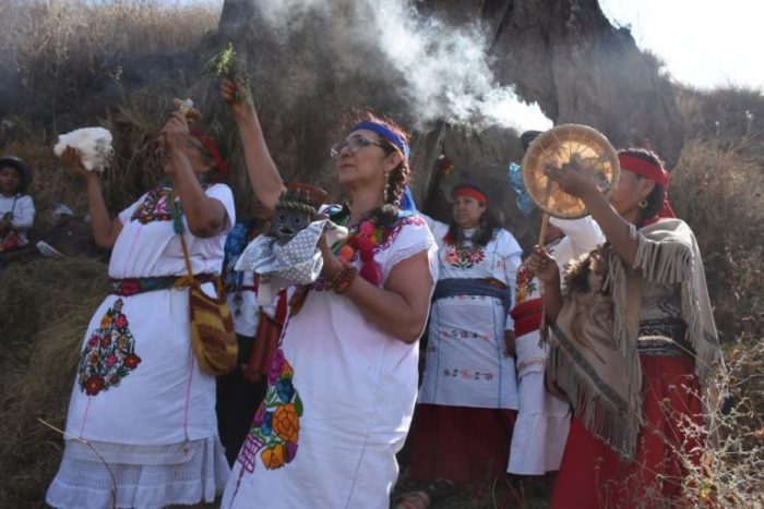 La UNAM impulsa la creación de escuela de medicina tradicional totonaca -  Formato Siete