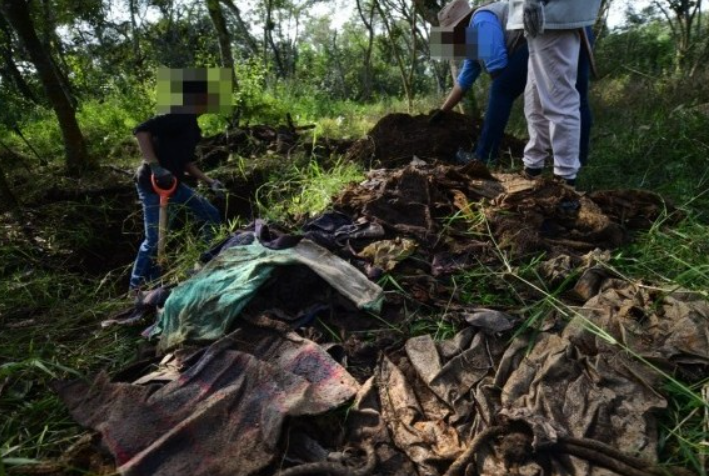 Colectivos de desaparecidos buscan fosas clandestinas en el Parque Natura -  Formato Siete