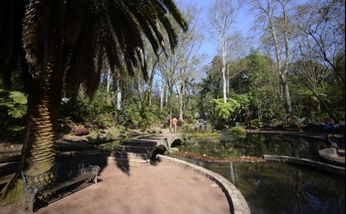 Parque Los Tecajetes, un bosque natural en pleno centro de Xalapa - Formato  Siete