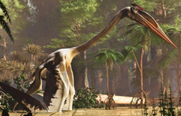 Conoce a Quetzalcoatlus, el mayor ser volador que vivió en la Tierra -  Formato Siete