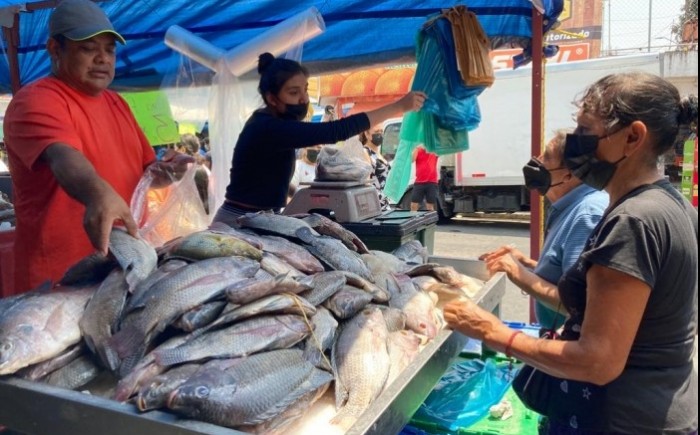 De otros estados los pescados y mariscos que se consumen en Veracruz -  Formato Siete