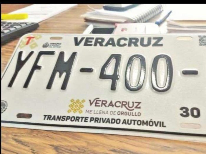 Pasos Para Realizar El Canje De Placas En Línea En Veracruz Formato Siete 1118