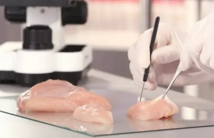 Estados Unidos aprueba venta de carne de pollo cultivada en laboratorio -  Formato Siete